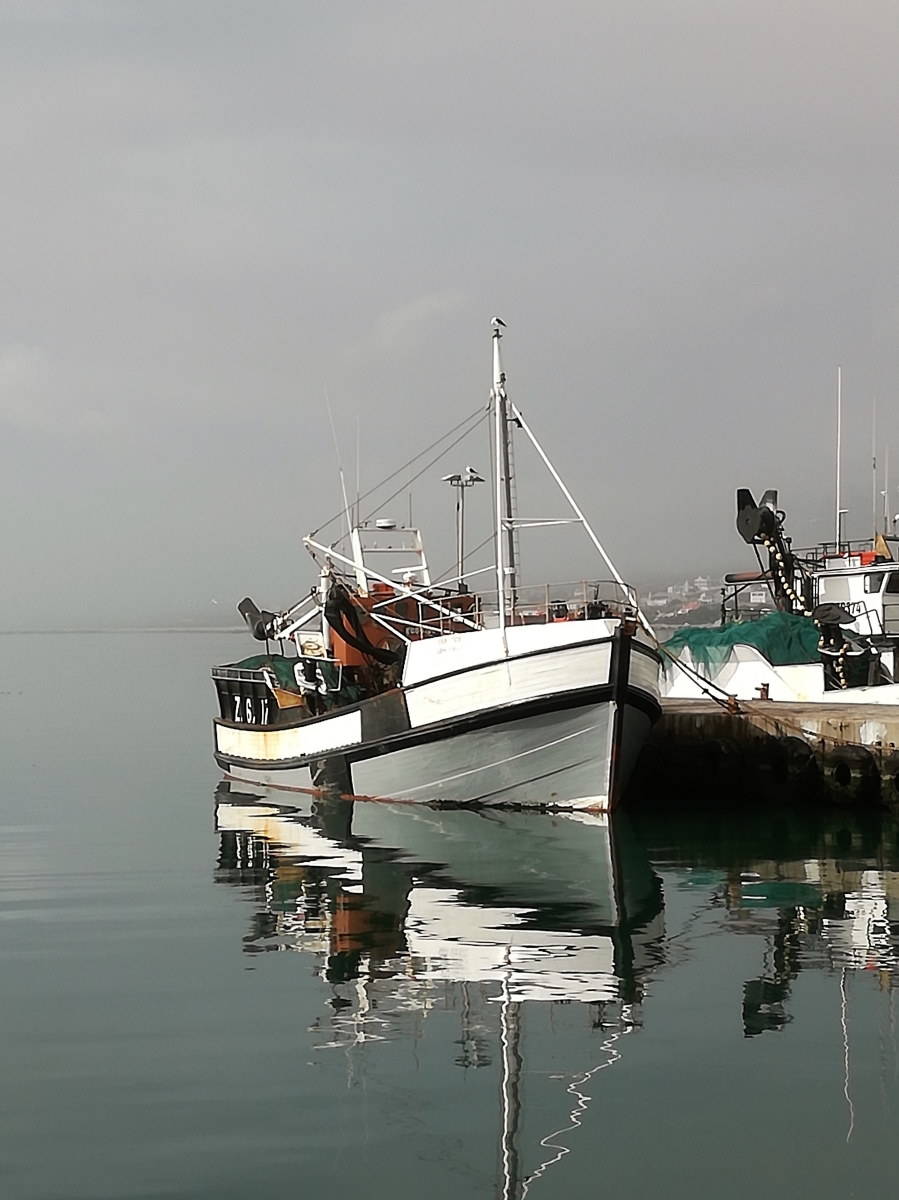 0 Bedroom Property for Sale in Steenbergs Cove Western Cape